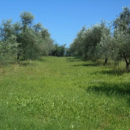 Casal Ferriano Fano
