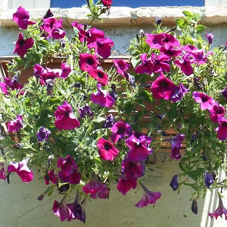Country house Casal Ferriano